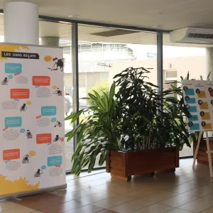 Une exposition sur la piste du moustique tigre